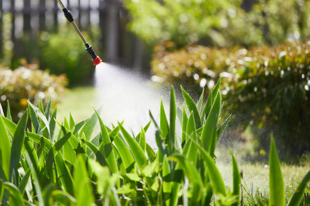 24/7 Emergency Mosquito Control experts in Emma, NC